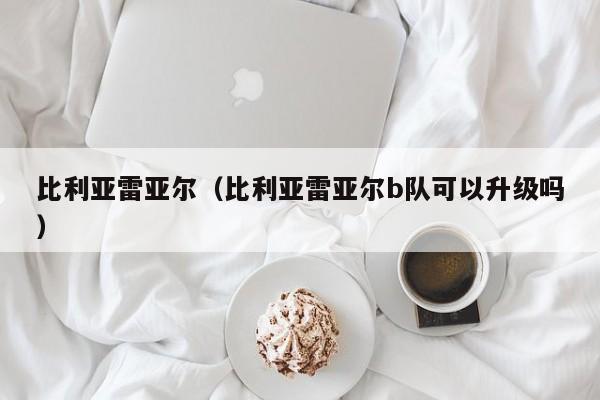 比利亚雷亚尔（比利亚雷亚尔b队可以升级吗）