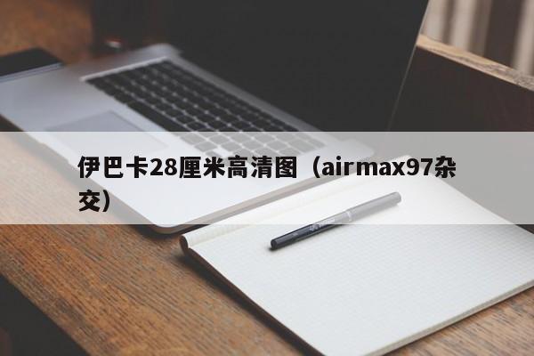 伊巴卡28厘米高清图（airmax97杂交）